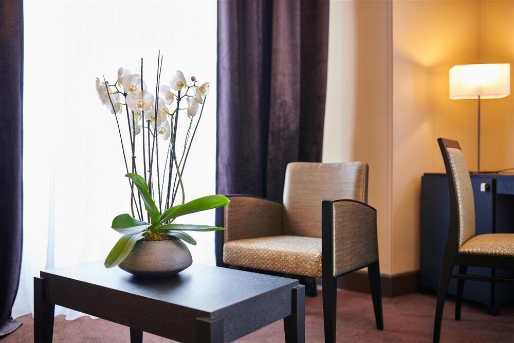 Foto general de Hotel &amp;amp; Spa Vacances Bleues Le Splendid