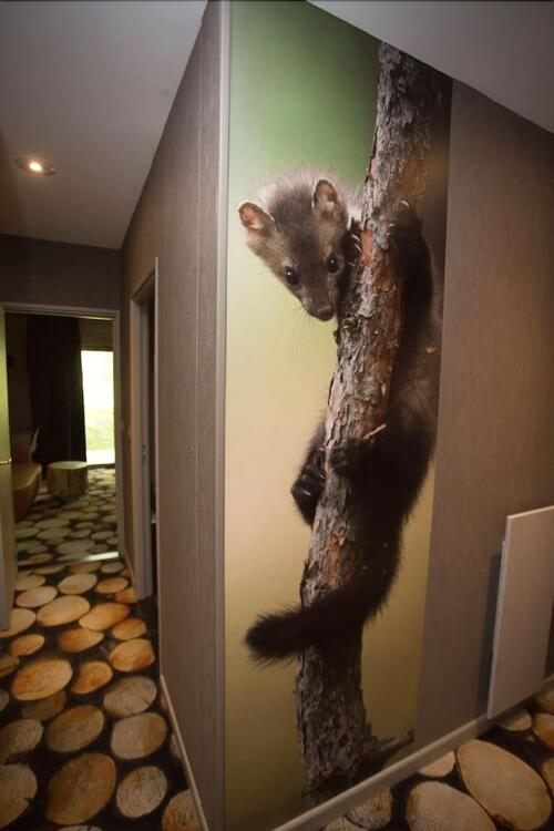 Foto de una habitación de Hôtel Des Trois Hiboux
