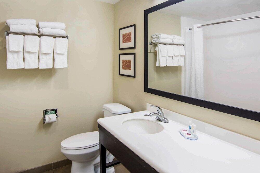 Foto del baño de Hotel Comfort Inn Atlanta Downtown South
