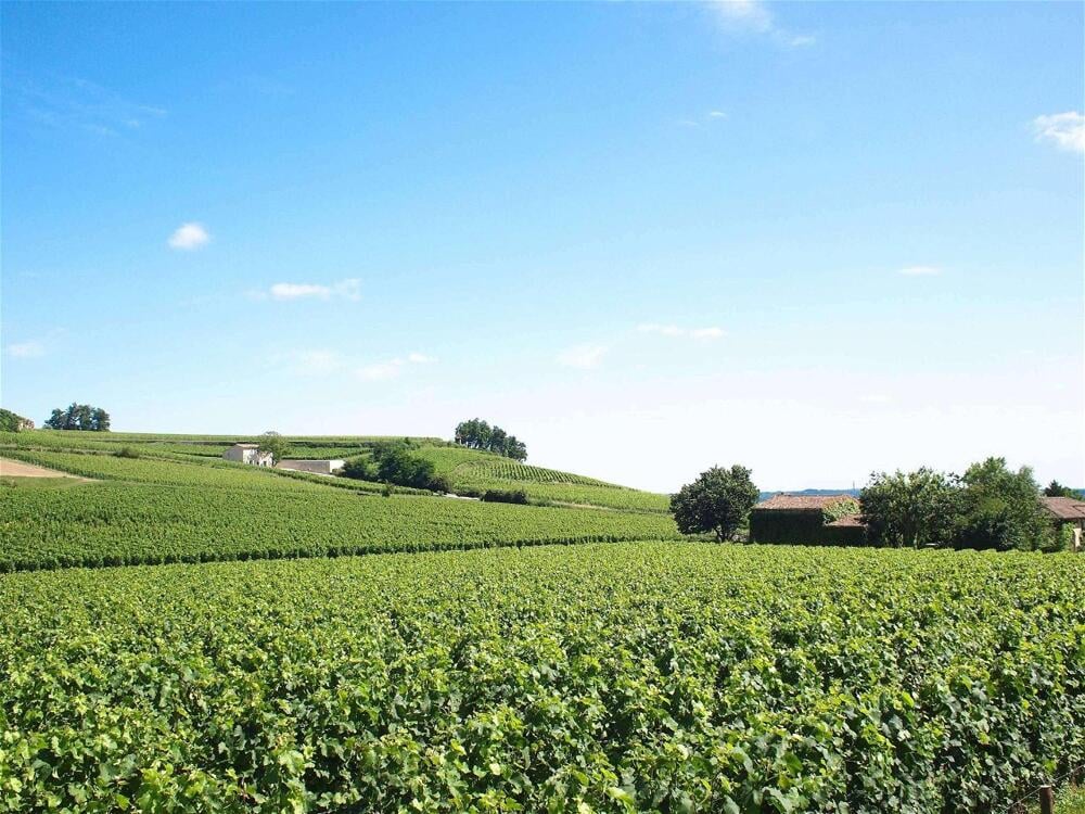 Foto general de Hotel ibis Bordeaux Saint Emilion