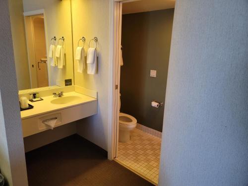Foto del baño de Hotel Sleep Inn &amp;amp; Suites Acme - Traverse City