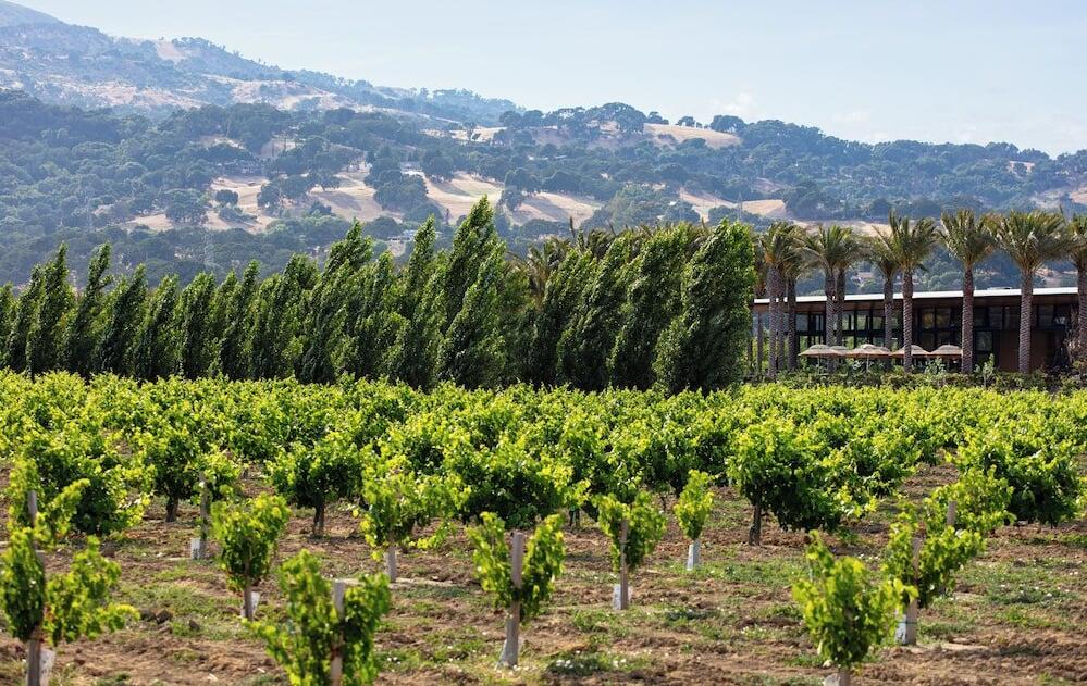 Surrounding area – Hotel Homewood Suites Fairfield-Napa Valley Area