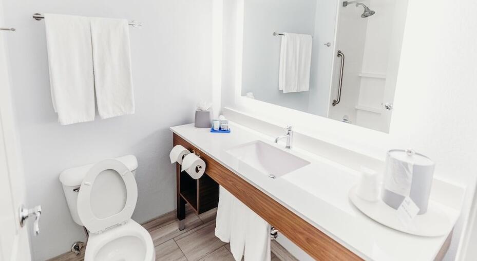 Foto del baño de Holiday Inn Express Atlanta - Northeast I-85 - Clairmont Road, an IHG Hotel