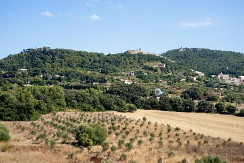 Foto del entorno de Predi Son Jaumell Hotel Rural