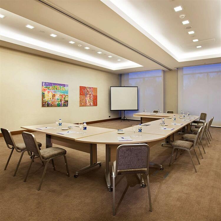 Foto de los servicios de Hotel Hilton Garden Inn Konya