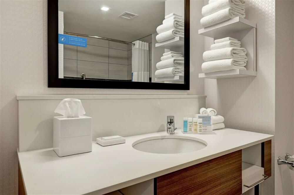 Foto del baño de Hotel Hampton Inn St. Catharines Niagara
