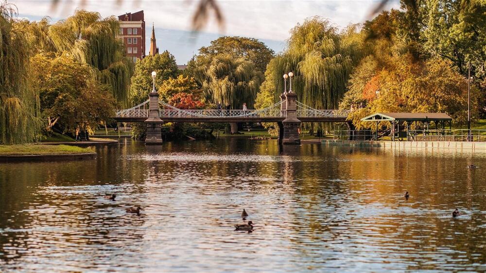 Foto general de Four Seasons Hotel Boston