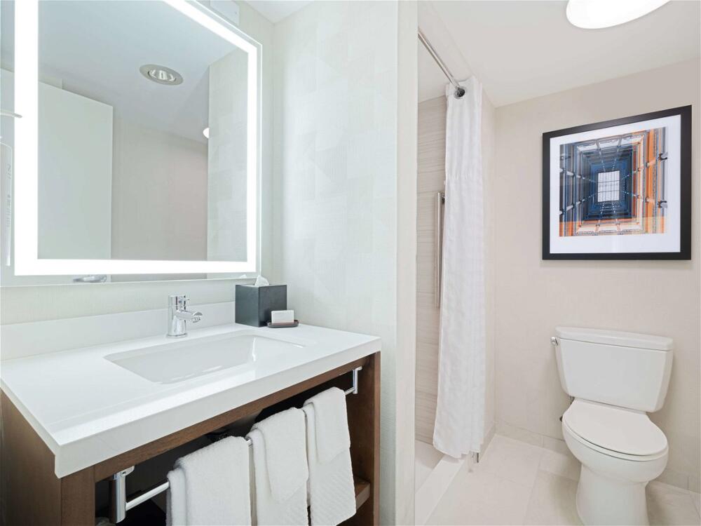 Foto del baño de Hotel Embassy Suites Chicago - Downtown River North