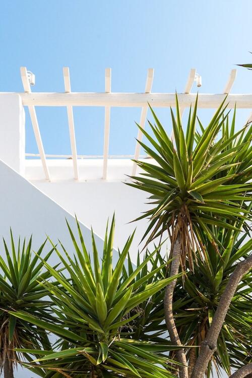 Foto del entorno de Vienoula&amp;#039;s Garden Hotel