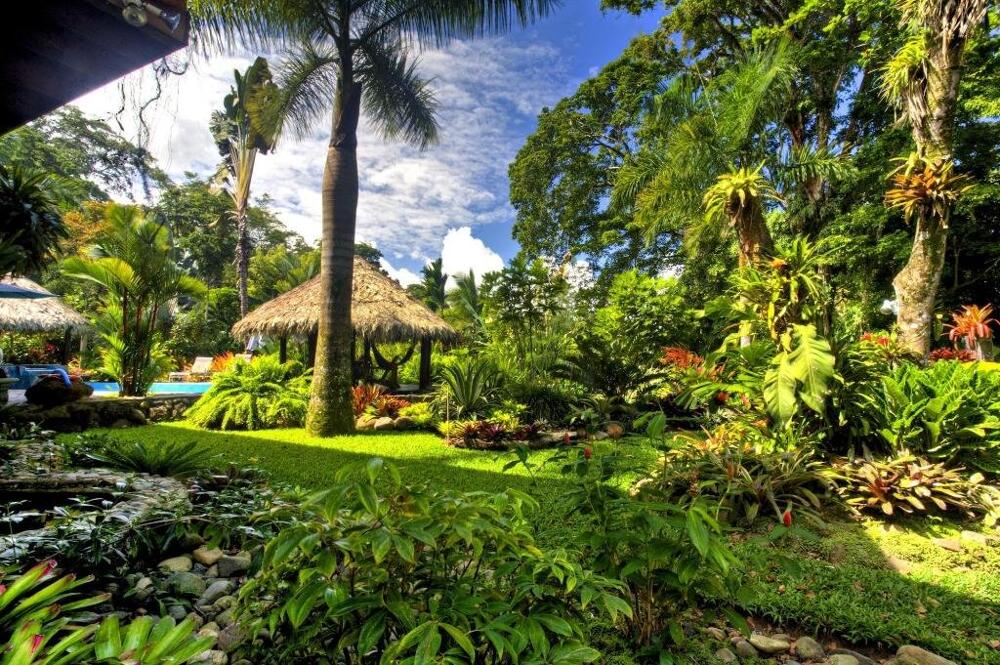 Foto general de Hotel Banana Azul - Adults Only