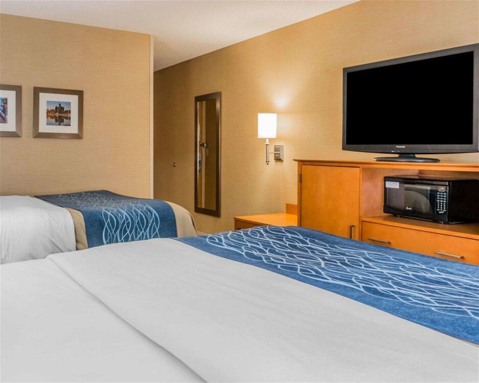 Foto de una habitación de Hotel Comfort Inn Plymouth