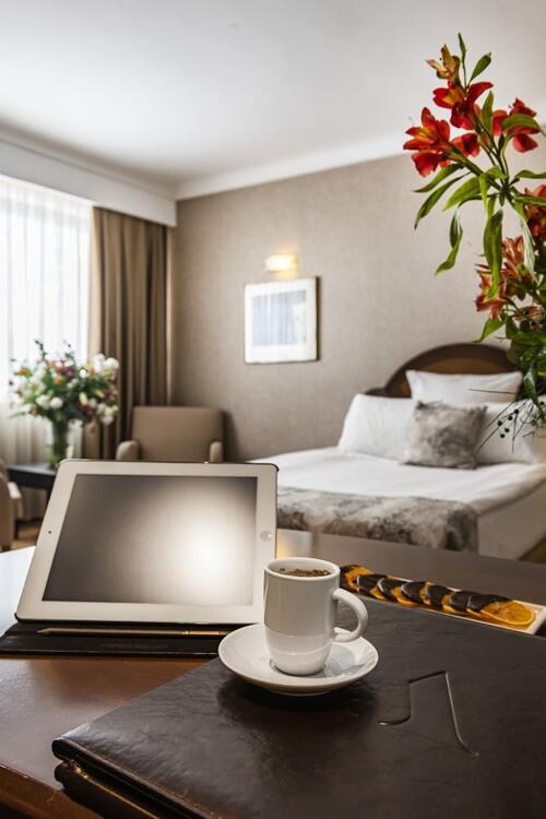 Foto de una habitación de Altinel Ankara Hotel &amp;amp; Convention Center