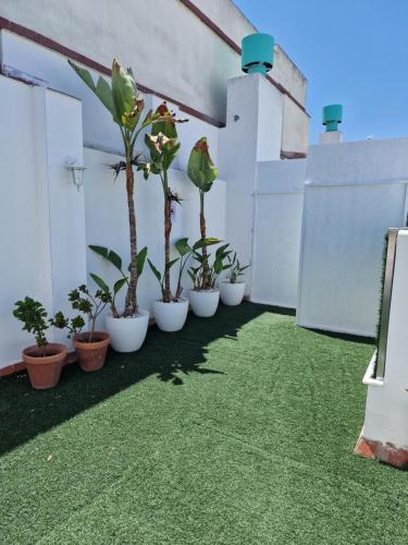 Foto general de Hotel y Apartamentos Doña Lola