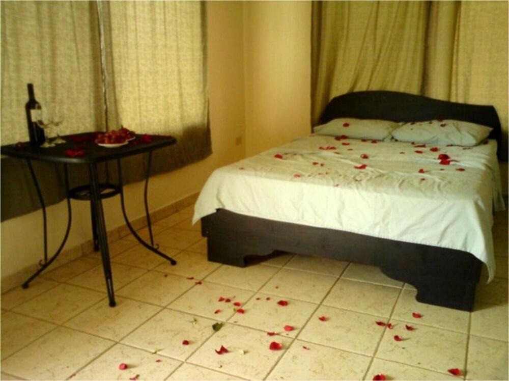 Foto de una habitación de Blue Palm Hotel
