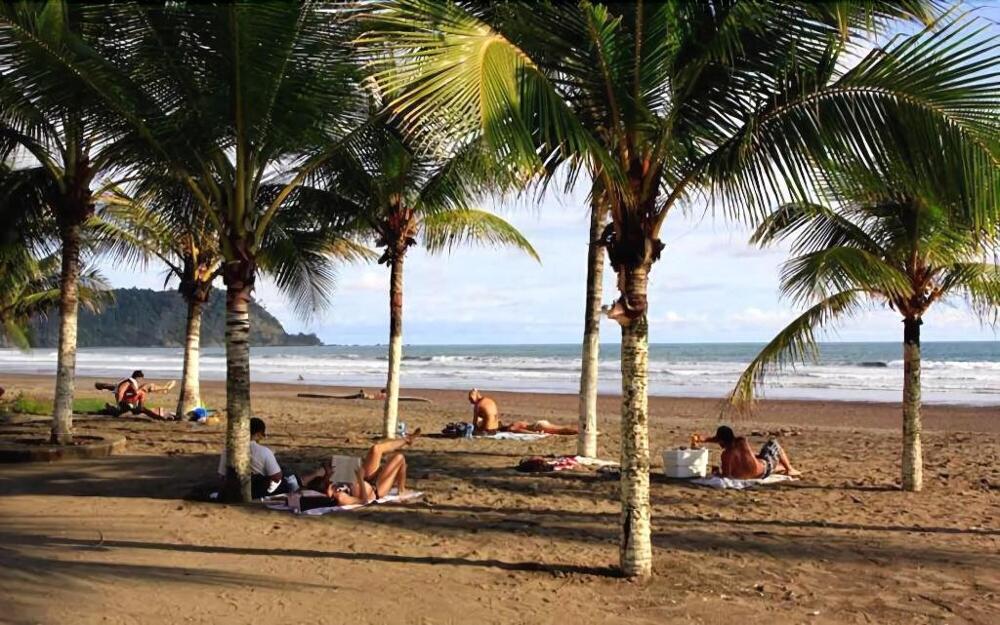 Foto del entorno de Blue Palm Hotel