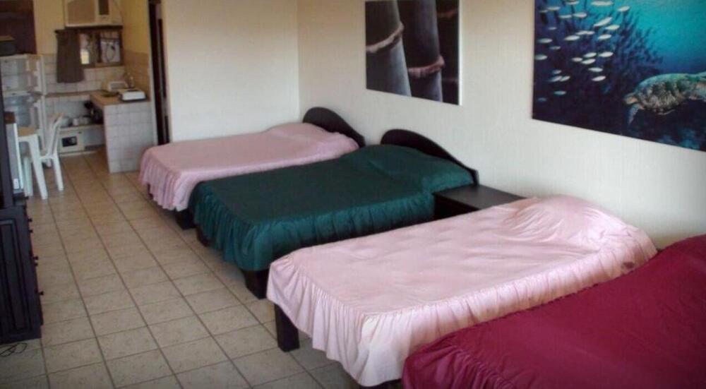 Foto de una habitación de Blue Palm Hotel
