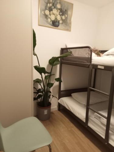 Foto de una habitación de Sylhet BNB