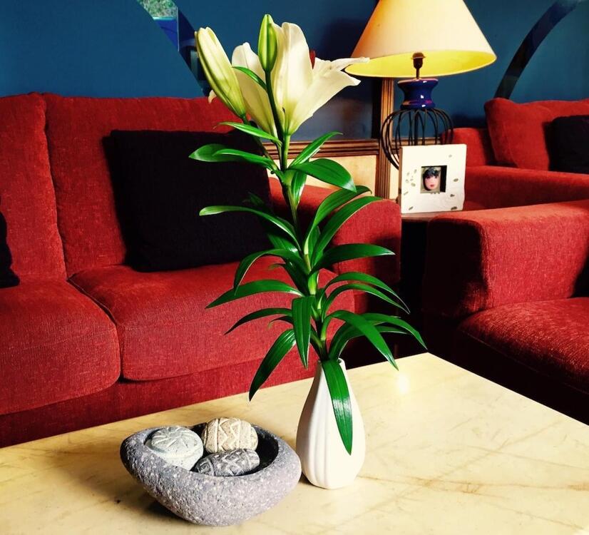 Foto de una habitación de Hotel Tikar