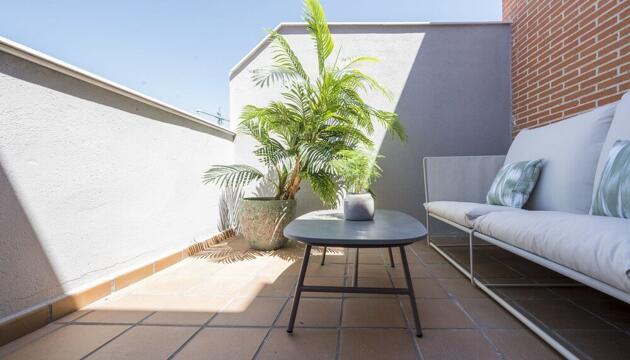 Foto de MIOSOTIS SUITES