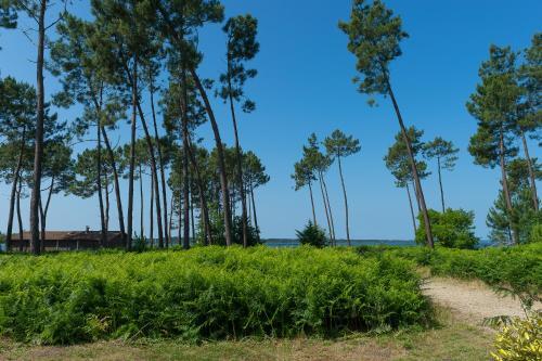 Foto del entorno de Camping Les Cottages Du Lac