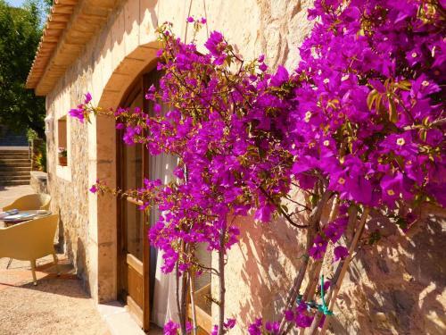 Foto de los servicios de Finca Hotel Can Estades