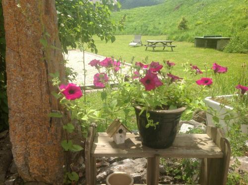 Foto general de Bed-and-Breakfast Chateau de Camurac