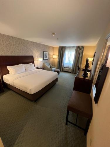 Foto de una habitación de Hotel Fairfield Inn &amp;amp; Suites by Marriott Great Barrington Lenox/Berkshires