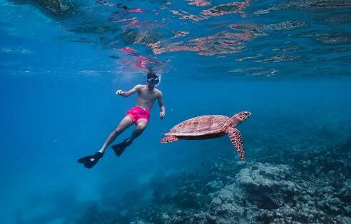 Foto del entorno de Complejo Meeru Maldives Resort Island