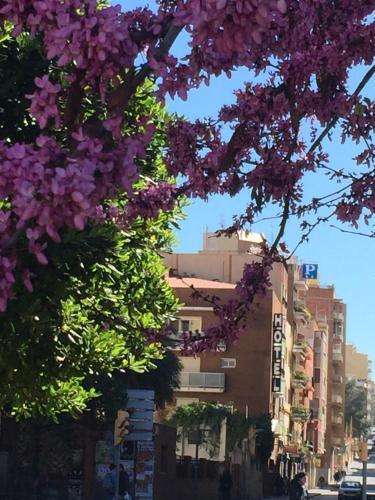 Foto del exterior de Hotel Cosmos Tarragona