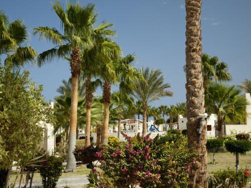 Foto de los servicios de Complejo Coral Beach Resort Hurghada