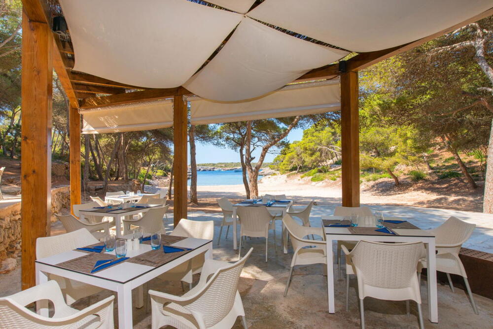 Foto general de Hotel Iberostar Waves Club Cala Barca