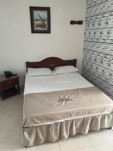 Foto de una habitación de Hotel del Parque Davinchi