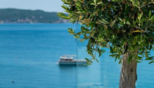 Foto de Alquileres Vacacionales Elysium Tivat
