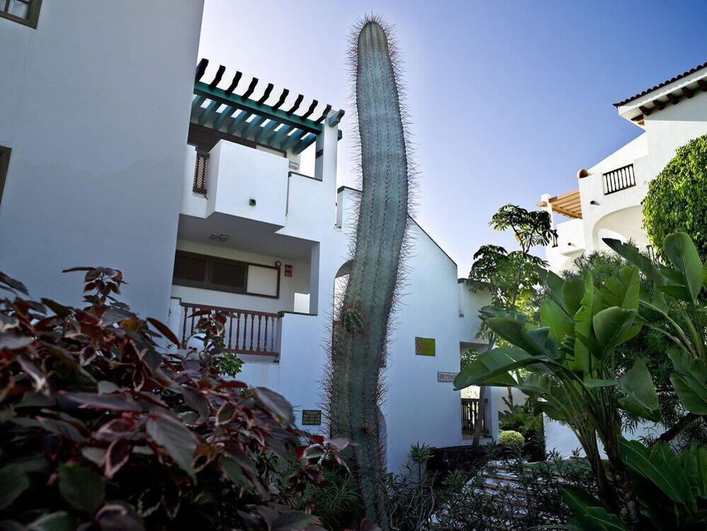 Foto del exterior de BLUESEA Apartamentos Callao Garden