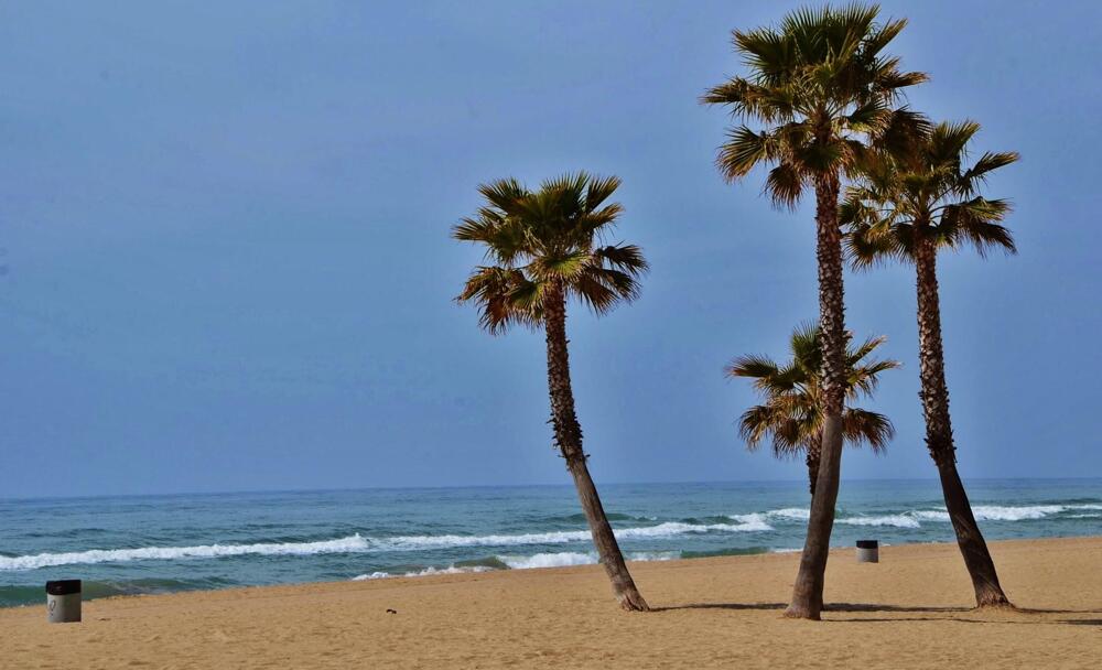Foto general de Camping Estival Vendrell Platja