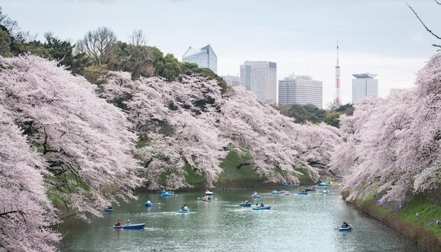 Foto de Hotel Shangri-La Tokyo