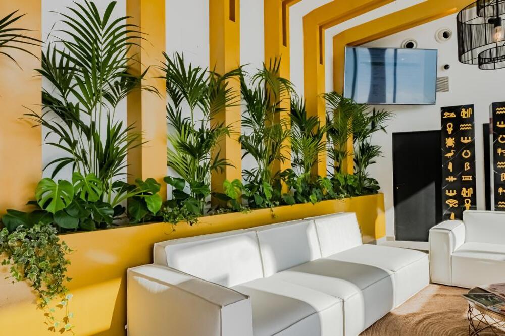 Foto de las zonas nobles de Four Points by Sheraton Costa Blanca Villas