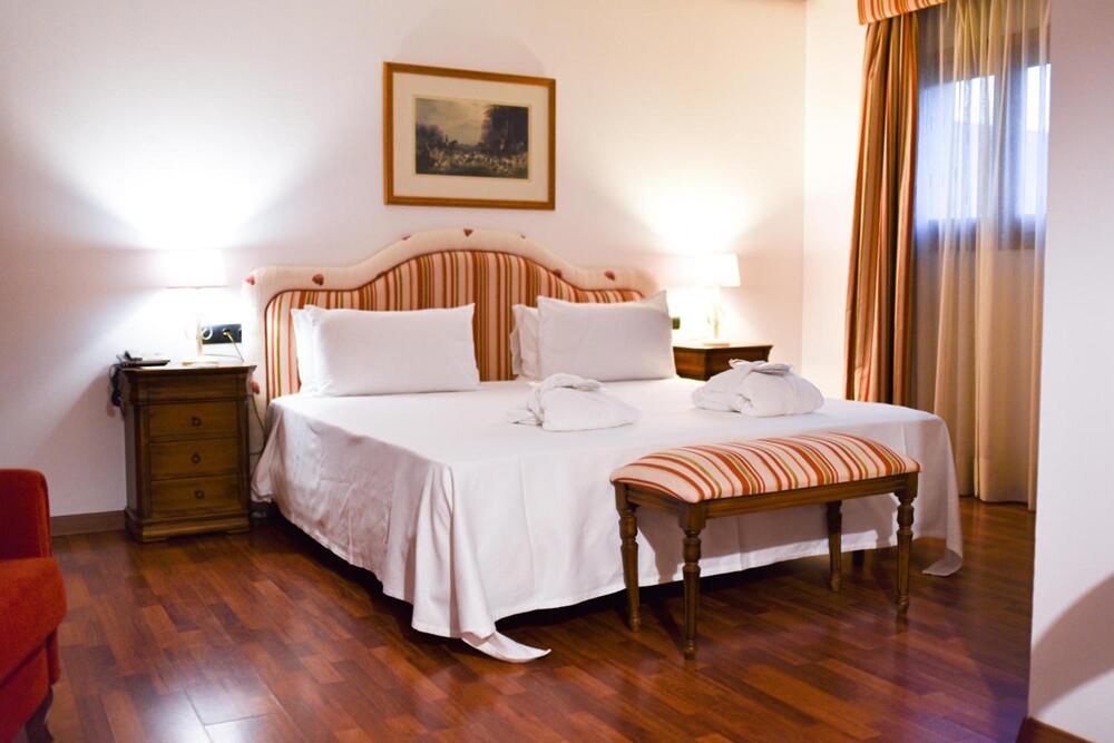 Foto de una habitación de Hotel ALEGRIA Bodega Real