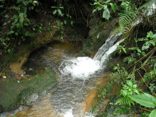 Photo – Bed-and-Breakfast Finca Vibran B &amp;amp; B