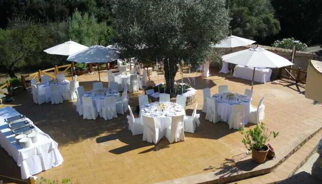 Foto de Hotel Finca Son Olive