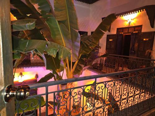 Riad Aloes & Spa, Marrakech - Reserving