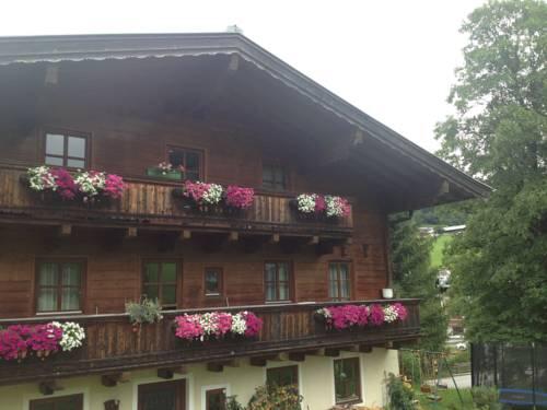 Foto general de Vorderjetzbachhof