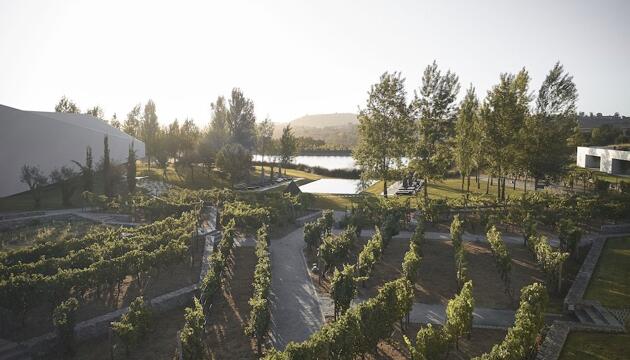 Foto de Hotel L&apos;AND Vineyards