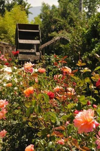 Foto general de Bed-and-Breakfast Los Pequenes