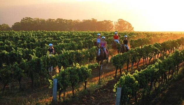 Foto de Hotel Hunter Valley Resort