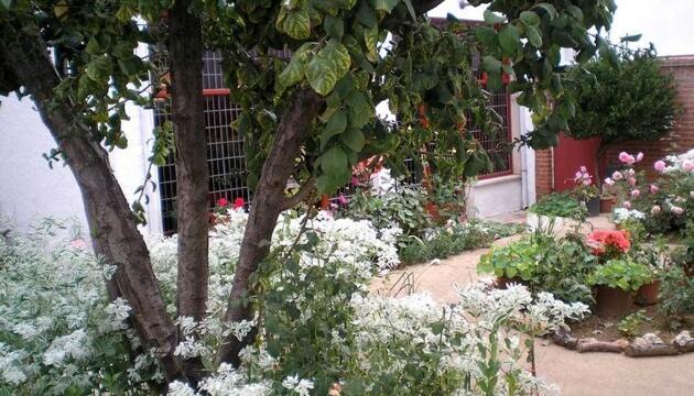 Foto de Hotel Tierra de Campos