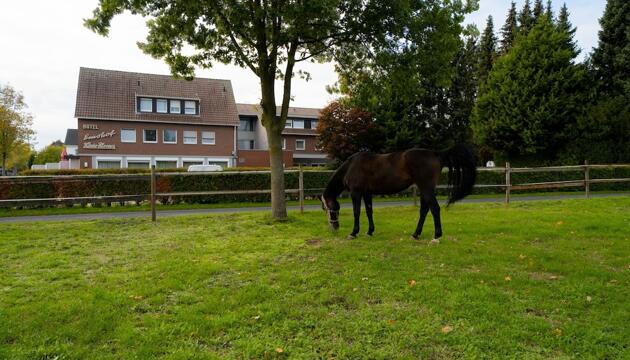 Foto de Hotel Emshof
