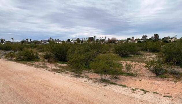 Foto de Dry Camping, Bring your own Camping Gear, RV or Mobile, close to sand dunes