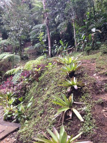 Photo – Hotel Ranchitos Del Quetzal