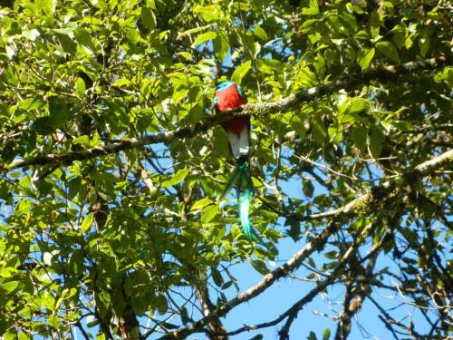 Photo – Hotel Ranchitos Del Quetzal